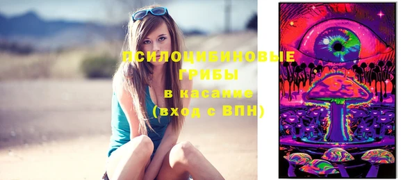 мяу мяу мука Арсеньев