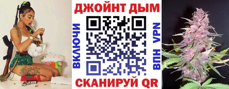 Бошки Шишки гибрид  закладка  Валдай 